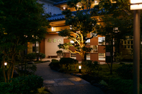Medium_20190709_090_s (1)